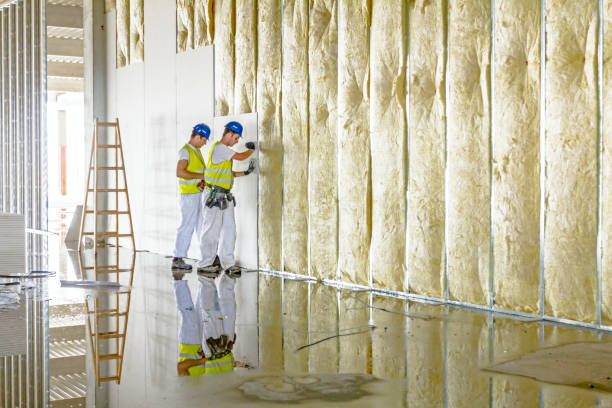 Best Affordable Insulation Services  in USA